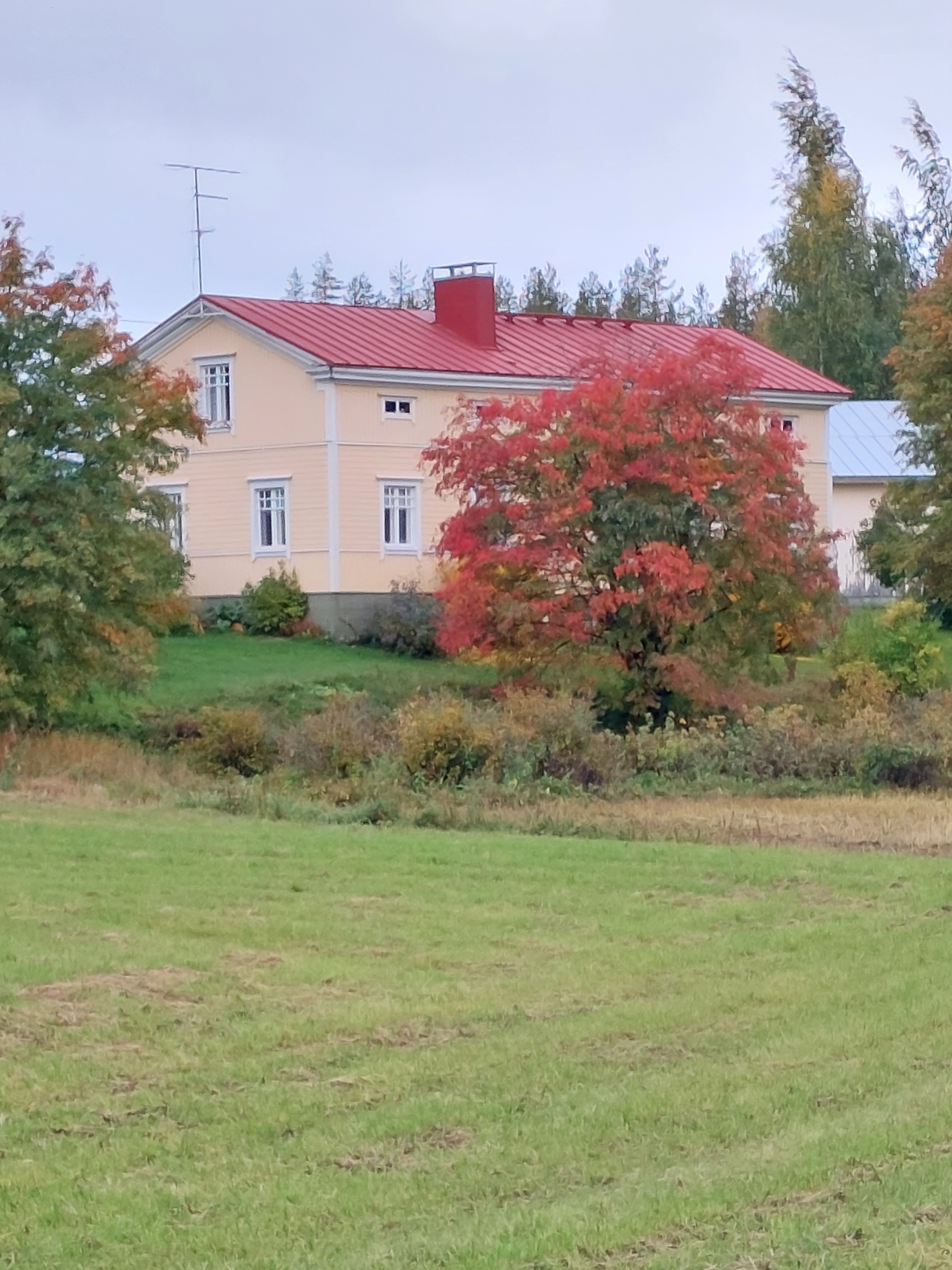 Kiviniemen maatila.jpg